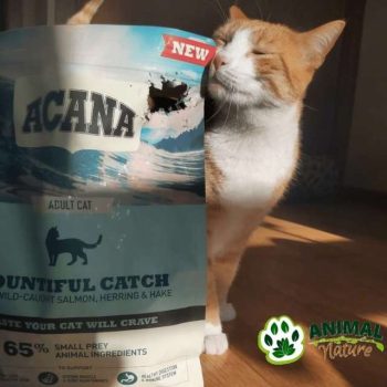 Acana hrana za mačke sa ribom Bountiful Catch - Animal Nature