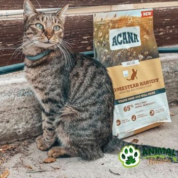 Acana hrana za macke Homestead Harvest – piletina, ćuretina – pačetina - Animal Nature