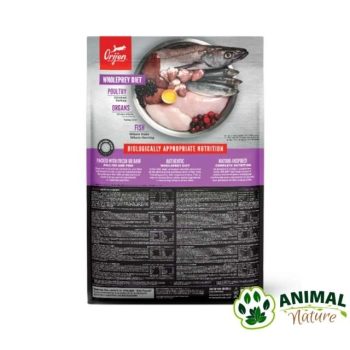 Orijen hrana za štence velikih rasa Large Puppy