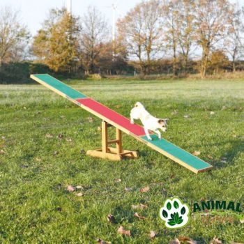 Agility klackalica za pse