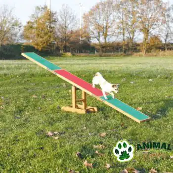 Agility klackalica za pse
