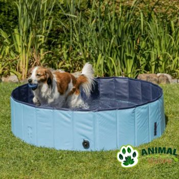 Bazen za pse - Animal Nature