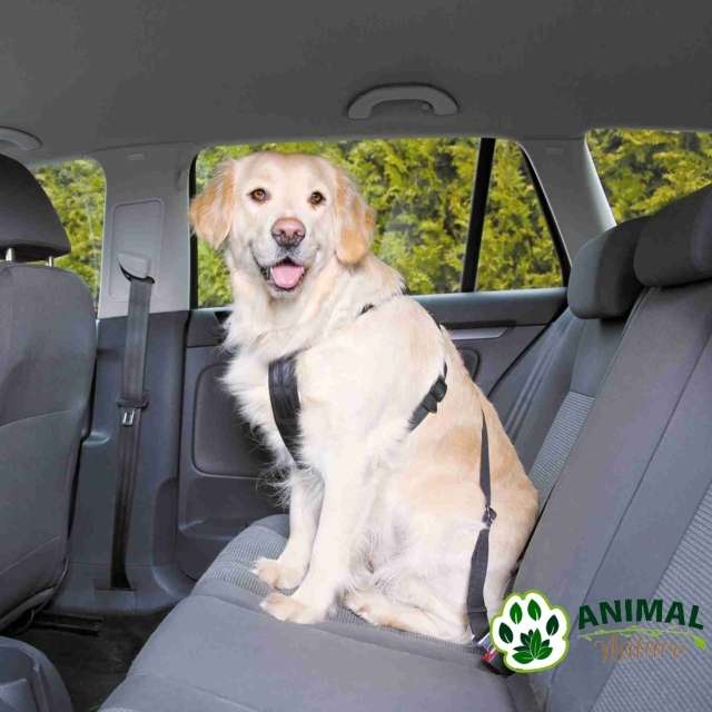 Bezbednosni set Am i povodac za pse za automobil Trixie - Animal Nature