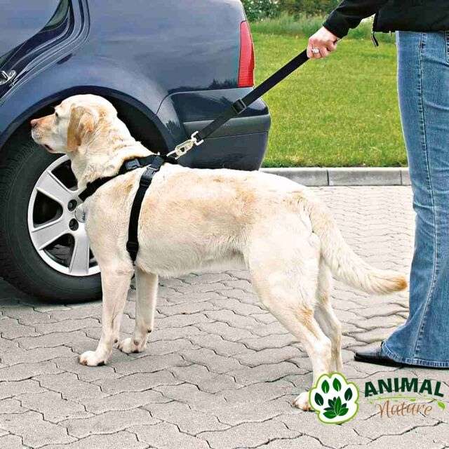 Bezbednosni set Am i povodac za pse za automobil Trixie - Animal Nature