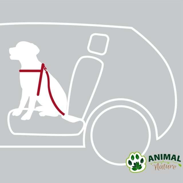 Bezbednosni set Am i povodac za pse za automobil Trixie - Animal Nature