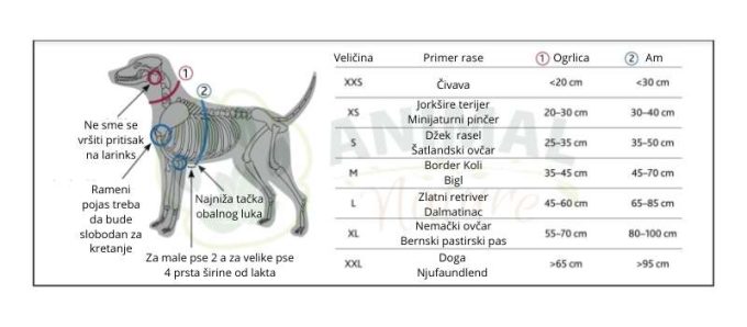 Premium postavljeni Amovi za pse za sve veličine pasa Trixe - Animal Nature