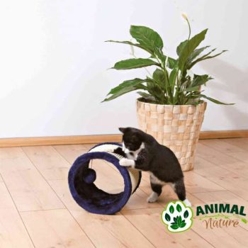 Grebalica za mačke točak Trixie