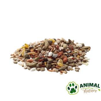 Rat Nature: Hrana za kućne miševe