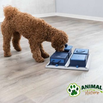 Edukativna igračka za pse Poker box drustvena igra