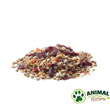 Mouse Nature: Hrana za kućnog miša