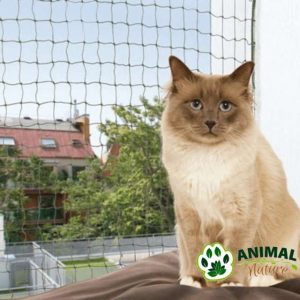 Zaštitna mrežica za prozor za mačke sa ojačanom žicom - Animal Nature