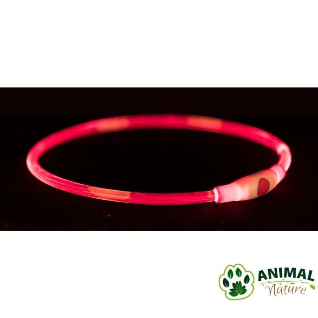 Ogrlice za pse svetleće Flash Light sa USB Trixie - Animal Nature