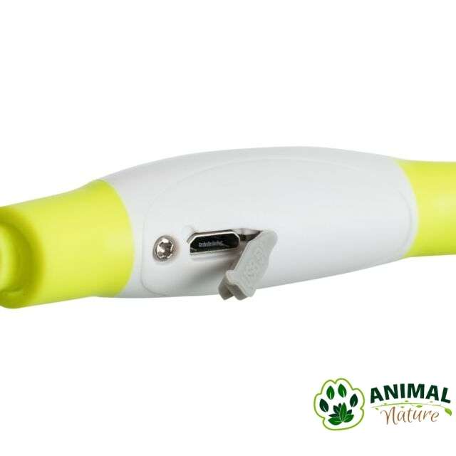Ogrlice za pse svetleće Flash Light sa USB Trixie - Animal Nature