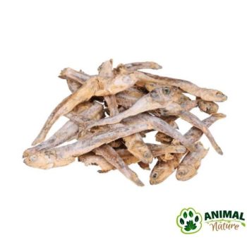 Sušeni inćuni poslastice za mačke Trixie