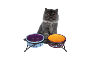 Posude za hranu i vodu