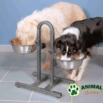 Posuda za pse za hranu i vodu sa podesivom visinom Dog Bar Trixie