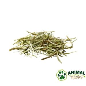 Prirodna sušena mačija trava Timothy Hay