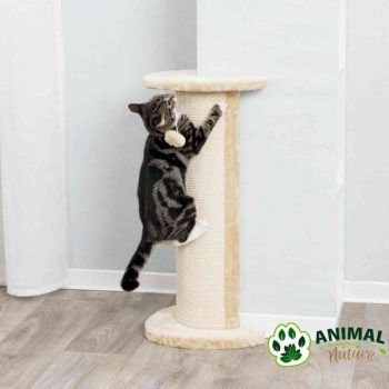 Ugaona grebalica za mačke Lorca Trixie