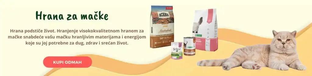 Božićni pokloni za mačke 2023