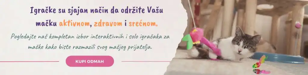 Kako da gojazna mačka smrša?
