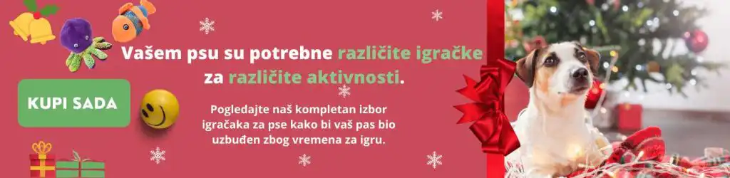 Kako da držite psa podalje od Novogodišnje jelke? 10 praktičnih saveta