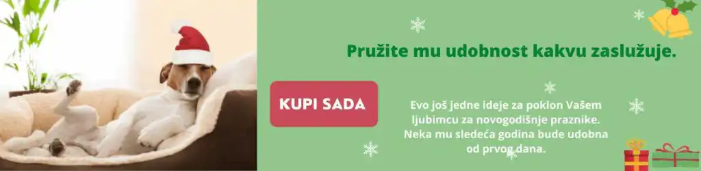 Kako da držite psa podalje od Novogodišnje jelke? 10 praktičnih saveta