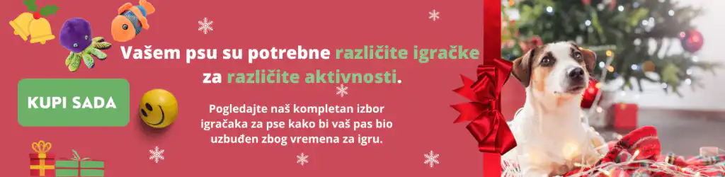 10 najboljih igara u zatvorenom za pse koji ne vole zimu