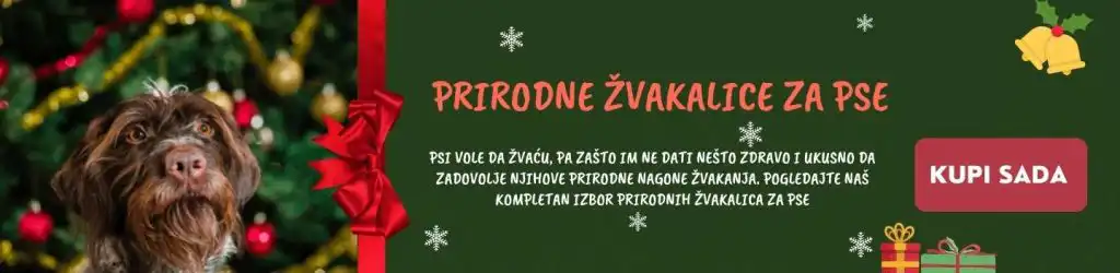 Kako da držite psa podalje od Novogodišnje jelke? 10 praktičnih saveta
