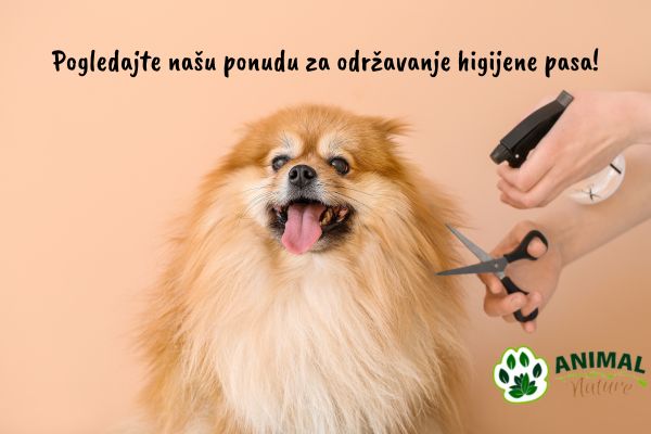 Higijena pasa i nega pasa su preduslov za dobro zdravlje psa. Pogledajte našu jedinstvenu ponudu za održavanje higijene 